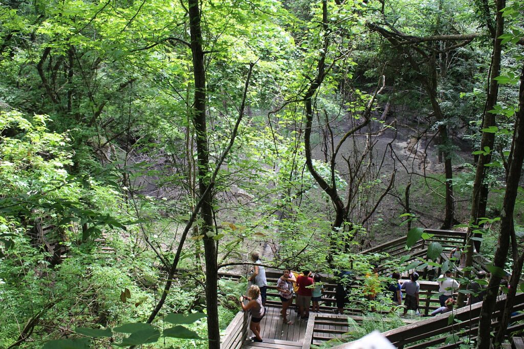 Devils Millhopper Geological State Park in Gainesville FL